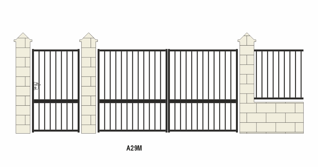 A29M